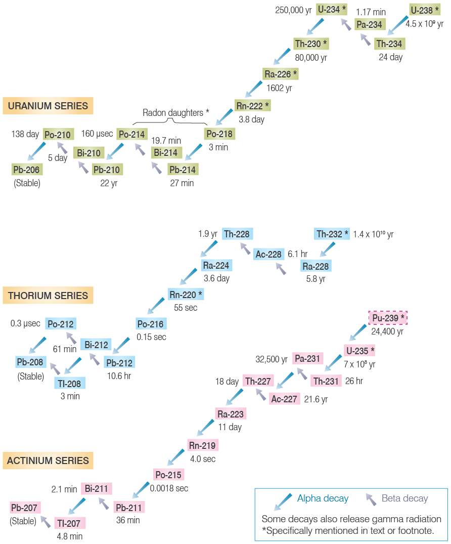 Radioactive Decay in Thorium and Uranium Series